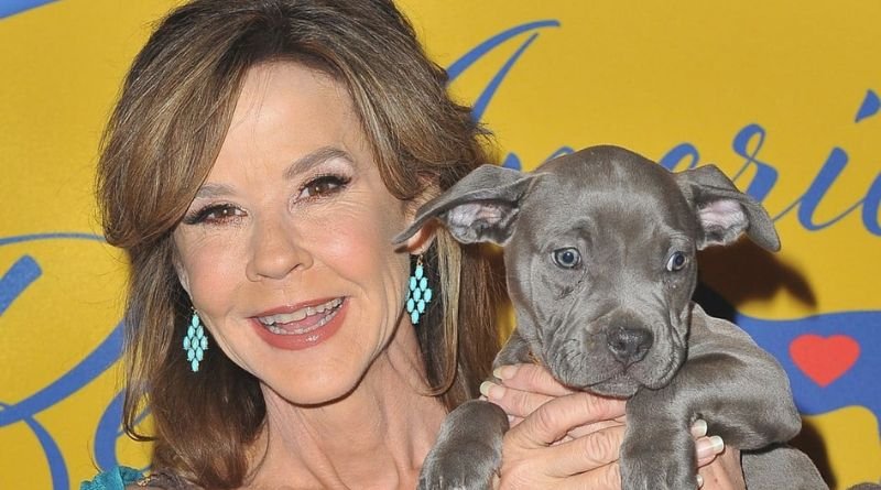 Linda Blair Net Worth